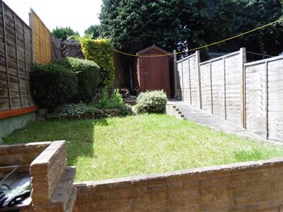 Picture 11